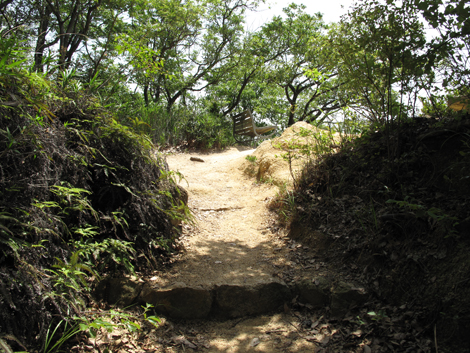 20140602hike (33)